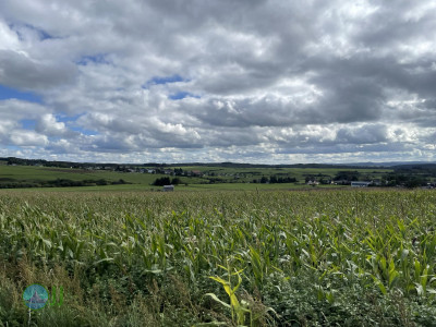 Ahrsteig - Day 1 - From Blankenheim to Schuld