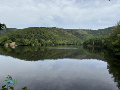 Rursee Runde