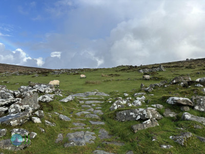 Dartmoor National Park