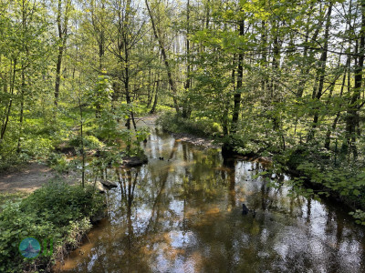 On foot to the Ardennes - Day 2 - From Tiège to Grandmenil
