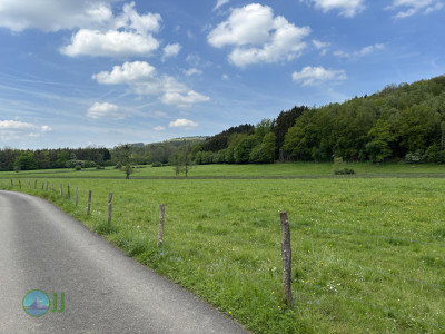 On foot to the Ardennes - Day 2 - From Tiège to Grandmenil