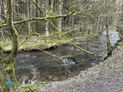 Vallée des Fées Achouffe – Prachtige natuur! loop from Houffalize