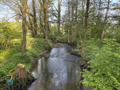 On foot to the Ardennes - Day 1 - From Aachen to Tiège