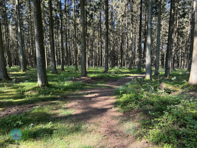 On foot to the Ardennes - Day 3 - From Grandmenil to Roumont