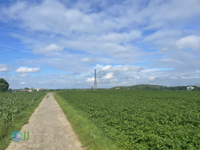 Natur in Süd-Viersen