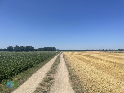 From Pesch to Dülken