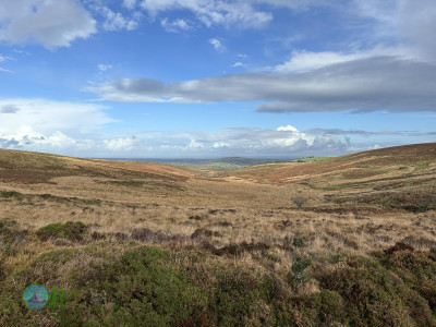 Dartmoor National Park