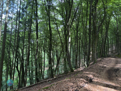 from Luxembourg to Tenneville - Day 1 - from Luxembourg to Diekirch