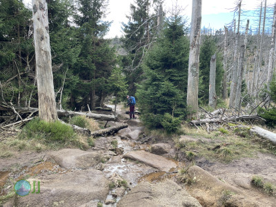 Bergtour am Brocken