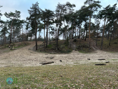 Megamarsch #WirGehenWeiter 2023 Day 1