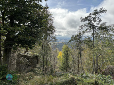 Harz-Tour HWN 20, Holzkirche Elend, 21, 17, 174, 27, 28, 23, 15, 13