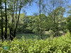 Bonn to Köln along the Rhine Photo