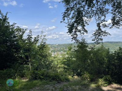 Kett­wiger Pa­no­ra­ma­steig