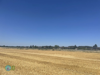From Pesch to Dülken