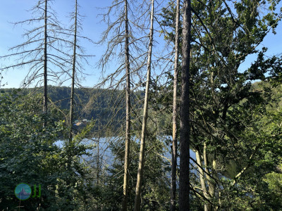 Harzer-Hexen-Stieg - Day 3 - From Neuwerk to Thale