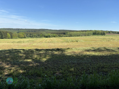 On foot to the Ardennes - Day 3 - From Grandmenil to Roumont