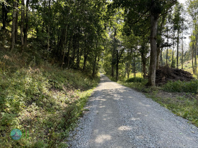 Harzer-Hexen-Stieg - Day 2 - From Torfhaus to Neuwerk