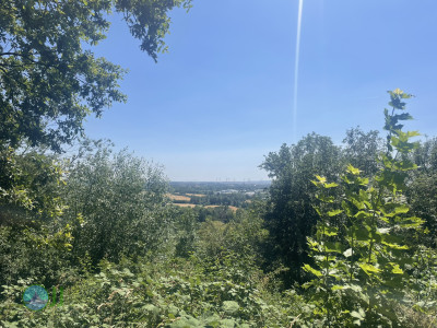 From Pesch to Dülken