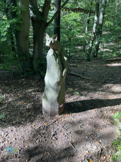Ahrsteig - Day 3 - From Bad Neuenahr to the Rhine