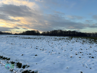 Viersen im Schnee