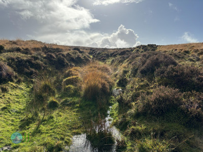 Dartmoor National Park