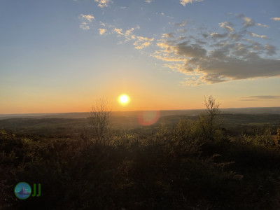 Culmstock Beacon – Black Down Hills, loop from Wellington