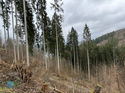 Esch-Sauer – Burgruine mit Turm Runde von Esch-sur-Sûre