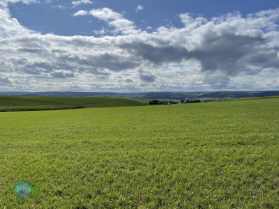 Ahrsteig - Day 1 - From Blankenheim to Schuld