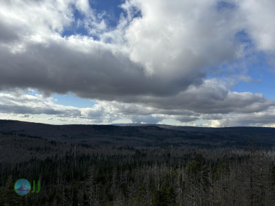 Harz-Tour HWN 136, 168, 12, 217