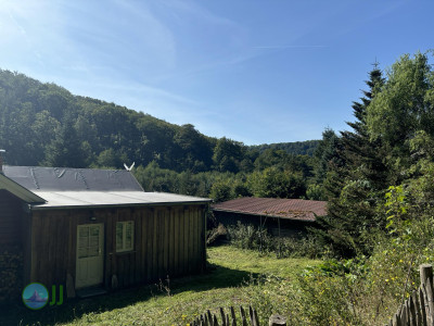 Harzer-Hexen-Stieg - Day 3 - From Neuwerk to Thale