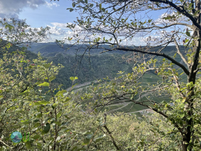 Ahrsteig - Day 2 - From Schuld to Bad Neuenahr