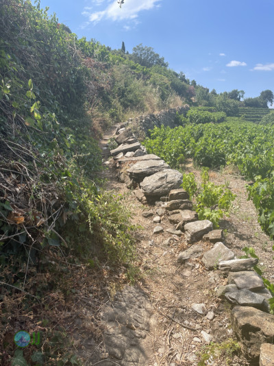Mountain villages of Northern-Samos