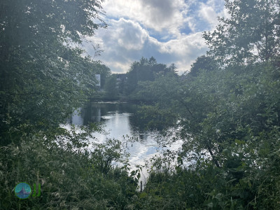 Natur in Süd-Viersen