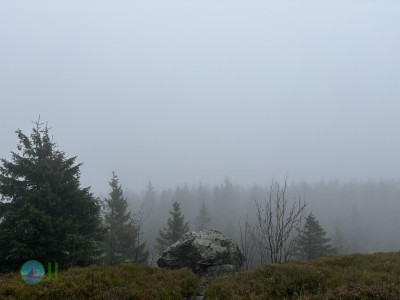 Harz-Tour HWN 135, 149, 134, 132, 133, 221