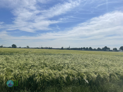 Rundum Viersen, Niers, Salbruch