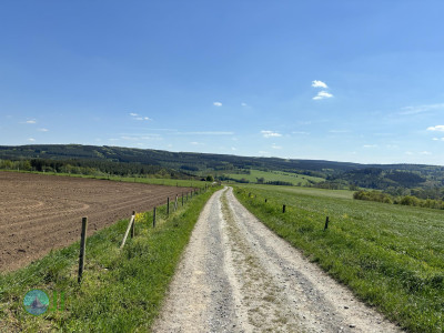 On foot to the Ardennes - Day 3 - From Grandmenil to Roumont