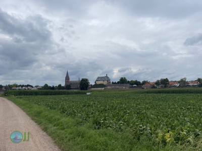 Beeselse Maasronde