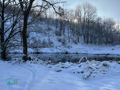 Nideggen - Heimbach loop Hiking (11-01-2025)